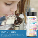 水質検査用テストシート 飲料水テストキット ストリップ ホーム 水テストキット 飲料水テスト用 硬度 Ph/塩素/鉛/鉄/銅