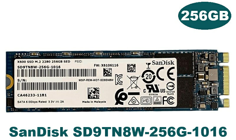 SANDISK X600 内蔵SSD SD9TN8W-256G-1016 256GB M.2 SATA 6Gb/s 2280 3D TLC PCパーツ パソコン用 ノートパソコン用 PC周辺機器 新品バルク品