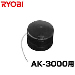 https://thumbnail.image.rakuten.co.jp/@0_mall/minatodenk/cabinet/001/top-rob-ek3001.jpg