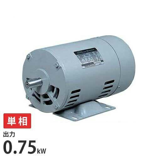 日東電工 単相モーター EFOUP-KQN 4P 0.75kw (単相100V200V/0.75kW) [電動機 汎用モーター]