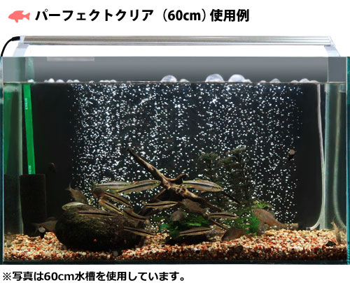 ゼンスイ水槽用LEDランプPLUS60cm(パーフェクトクリア/ビューティバイオレット)[LEDライト照明]