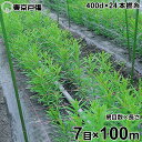 フラワーネット 400d×24本・撚糸 7目×長さ100m