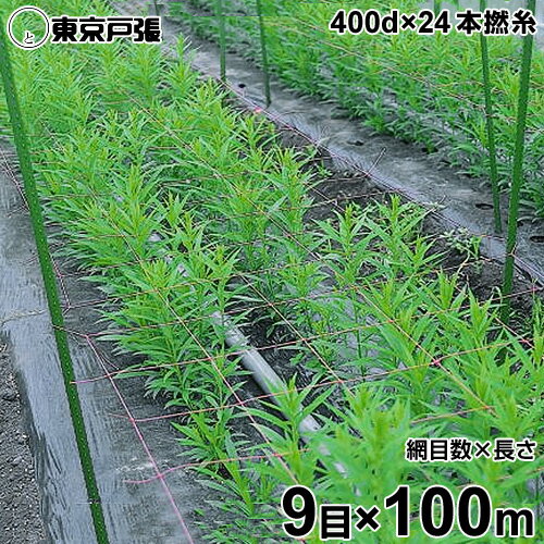 フラワーネット 400d×24本・撚糸 9目×長さ100m