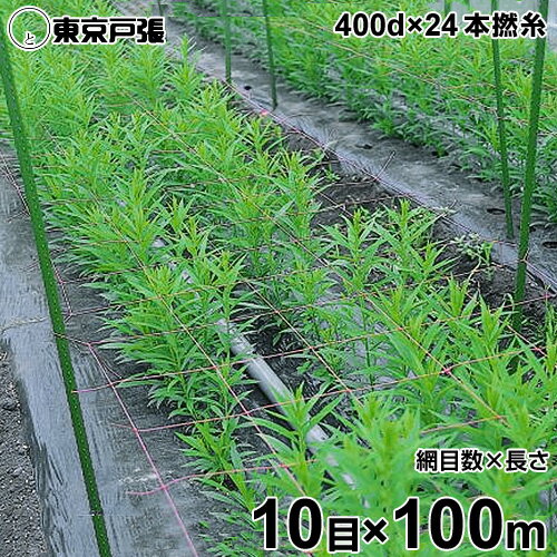 フラワーネット 400d×24本・撚糸 10目×長さ100m