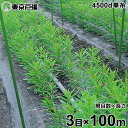 フラワーネット 4500d×1本・単糸 3目×長さ100m