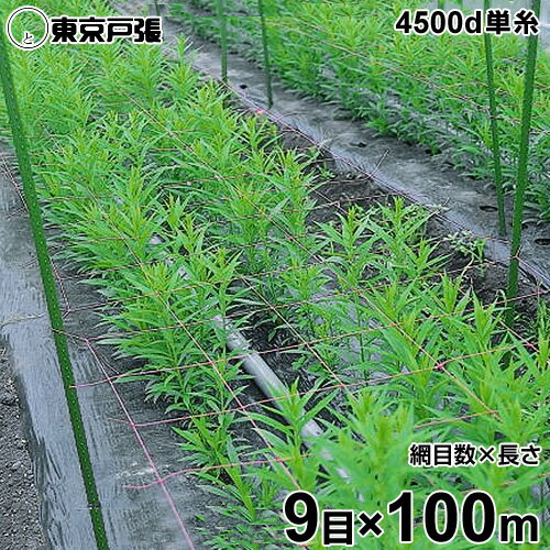 フラワーネット 4500d×1本・単糸 9目×長さ100m