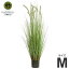 ハギハラ 人工観葉植物 キャッツテールグラス #1716 (M/122cm)