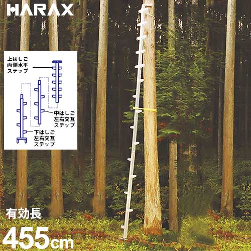 楽天市場】枝打ちはしご(はしご・作業台|DIY・工具):花 楽天市場】枝打ちはしご(はしご・作業台|DIY・工具):花