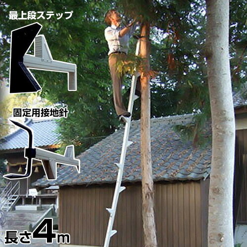楽天市場】枝打ちはしご(はしご・作業台|DIY・工具):花 楽天市場】枝打ちはしご(はしご・作業台|DIY・工具):花
