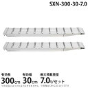 昭和ブリッジ アルミブリッジ 2本組セット SXN-300-30-7.0 (300cm/幅30cm/荷重7t)