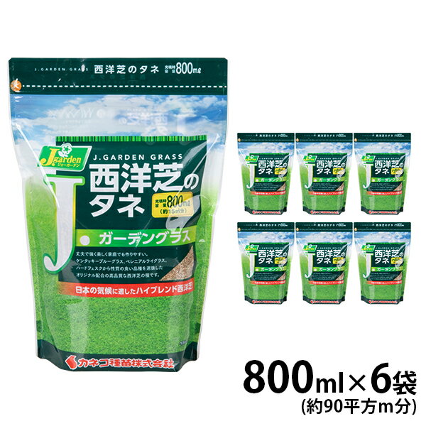 ※コート種子※【 飼料用 ダイカンドラ 】 ダイカンドラ 1kg 牧草 放牧 栽培用 緑化 緑肥 種子 雪印種苗