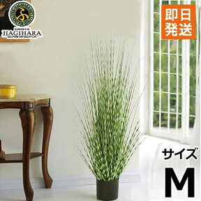 ハギハラ 人工観葉植物 ゼブラグラス #1791 (M/107cm) [人工植物 造花 観葉植物]