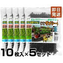 ネコよけ対策マット ここダメシート ブラック 10枚入り×5セット (W235×L340mm) 第一ビニール 猫よけ対策 猫よけグッズ 野良猫対策