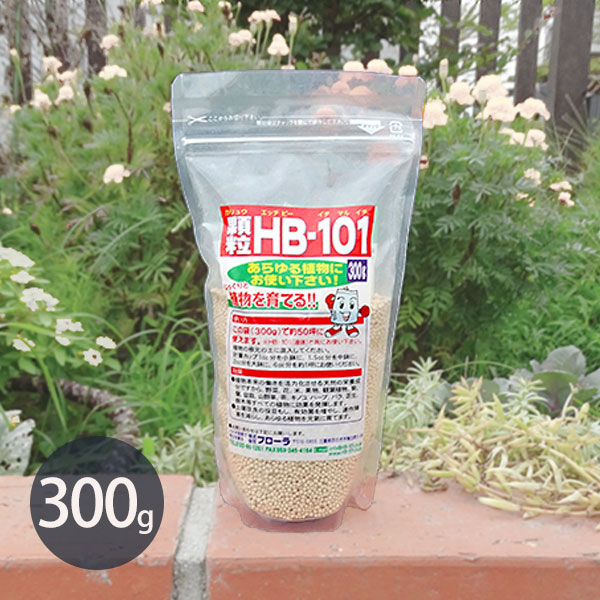 フローラ 天然活力剤 顆粒HB-101 300g (50坪分/顆粒状/100%天然植物エキスの活力剤) [HB101 肥料 野菜作り 園芸 土づくり 土壌改良]