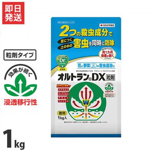 住友化学園芸 園芸用 殺虫剤 オルトランDX粒剤 1kg 花 野菜 害虫 防除