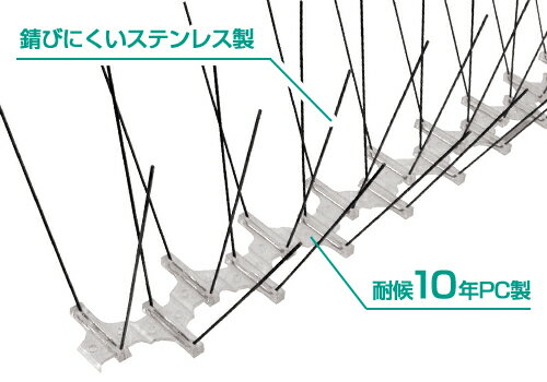 Ļ�褱������ �磻�ɥ����� ��6cm��Ĺ��50cm 12������ (���ƥ�쥹�ԥ�) [���ӥˡ��� Ļ���к������� ��Ļ����]