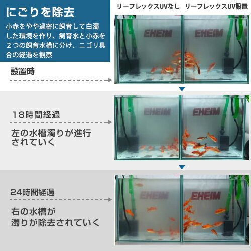 エーハイム リーフレックスUV殺菌灯 350 (適合水量80～350L/淡水・海水両用/水槽用) 3721300 3