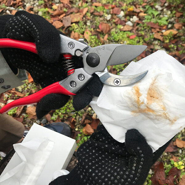 ���륹 �������ʪ���꡼�ʡ� 500ml ������ GO-5 [ARS ����� ����Ф��� ��ޤФ���]