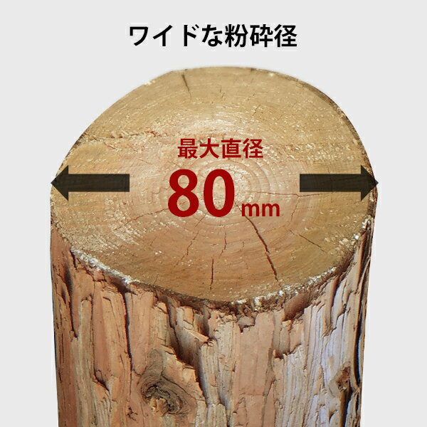 �ߥʥ� ���󥸥� ʴ�յ� MGSE-100 (6.5HP/��ž�ϼ�) [������ �����ǥ󥷥��å��� ���åѡ�]