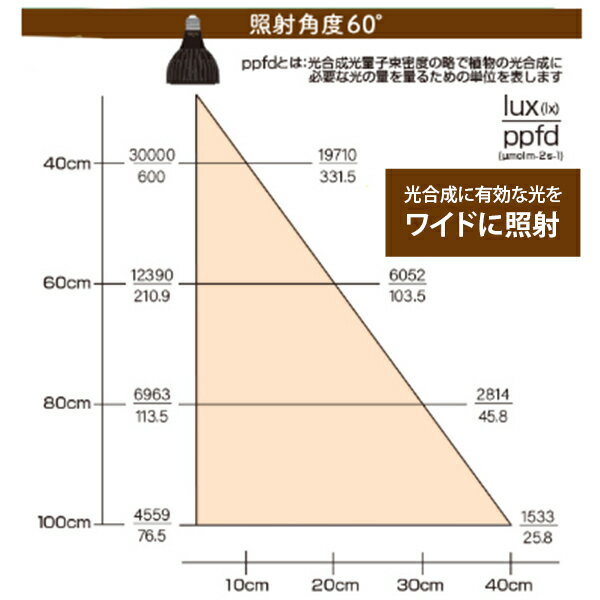 PLAAREA ��ʪ���� LED�饤�� EverSun 365 [���󥹥� ���С����󥵥�������� ���� ���� ���տ�ʪ ¿����ʪ ��̺��� �ƥ�ꥦ��]