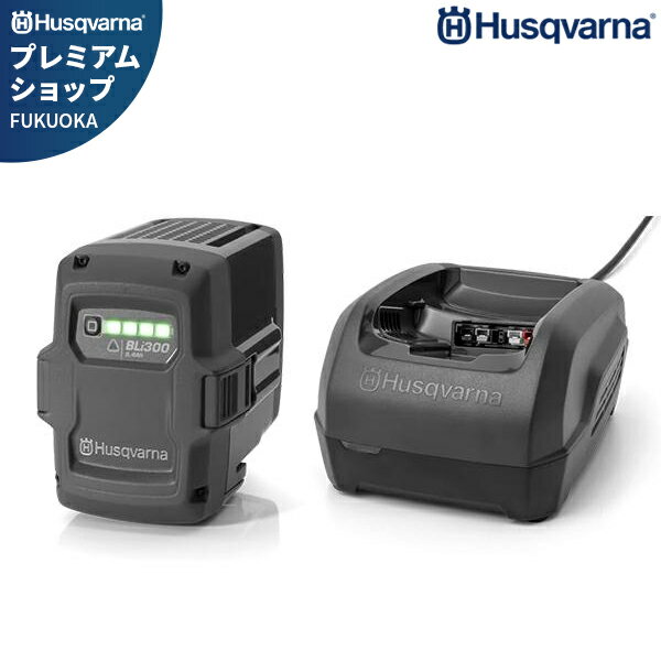�ϥ����С��� �Хåƥ꡼ BLi300�ܵ�®���Ŵ� QC250���å�[Husqvarna ������।����Хåƥ꡼]