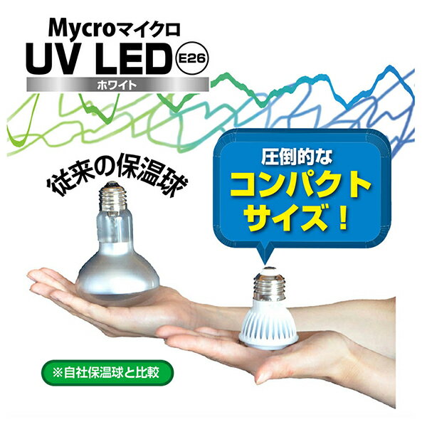 マイクロ UV LED E26 ホワイト ストロングスタンドセット [ゼンスイ 爬虫類 鳥類 ...