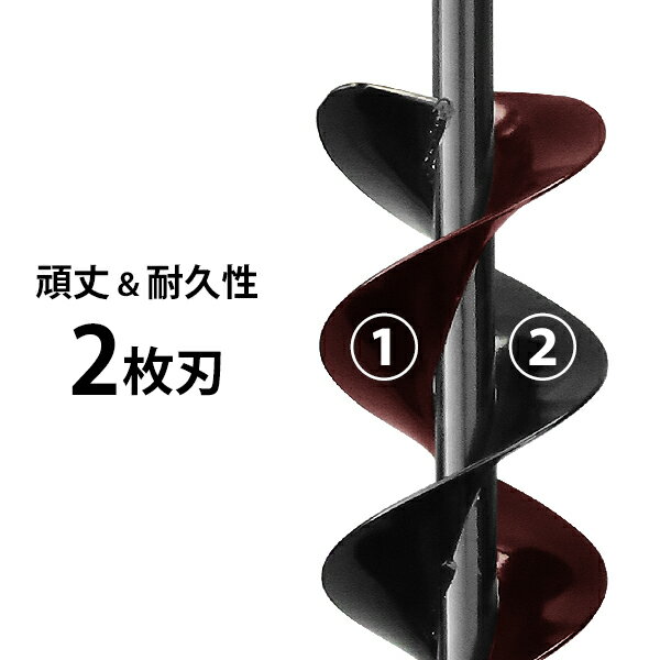 ��ư�ϥ�ޡ��ɥ���� SDSmax �������ɥ�� ���50-120�� (���դ�2��ϻ���) [�귡�� �������������� �귡�굡]