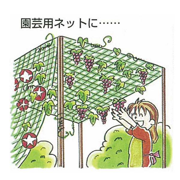 アイデアネット 1m～3m×2～5m 全6サイズ 1枚／2枚セット [1m 2m 3m 5m 万能ネット ...