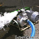 ミナト 1インチ ベルト掛けポンプ 3相200V2馬力全閉モ...