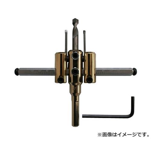  ɼ߿ 30X120 4962660367007 [ڹ ե꡼å ]