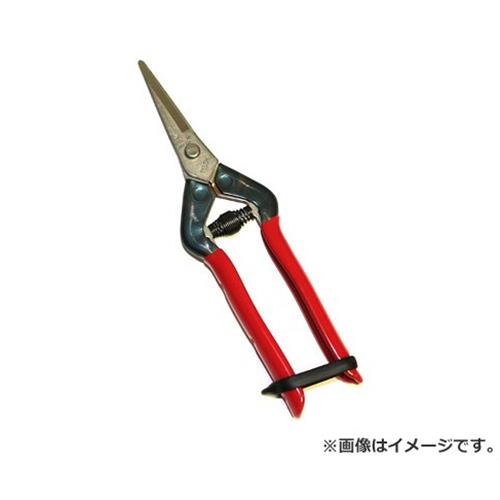 ڥ᡼ء۶(ޥ) ƥ쥹 T-55SH 4967645014013 [ ]