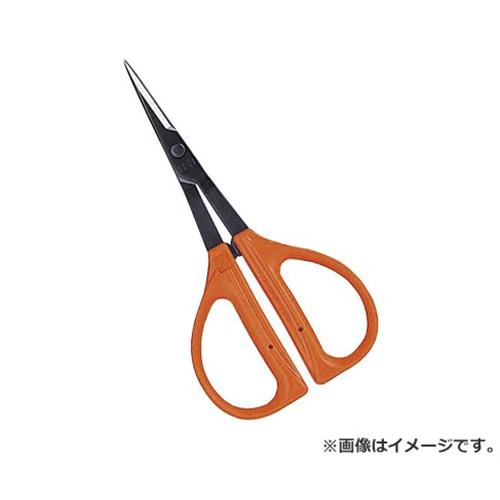 【メール便】近正(チカマサ) ぶどう