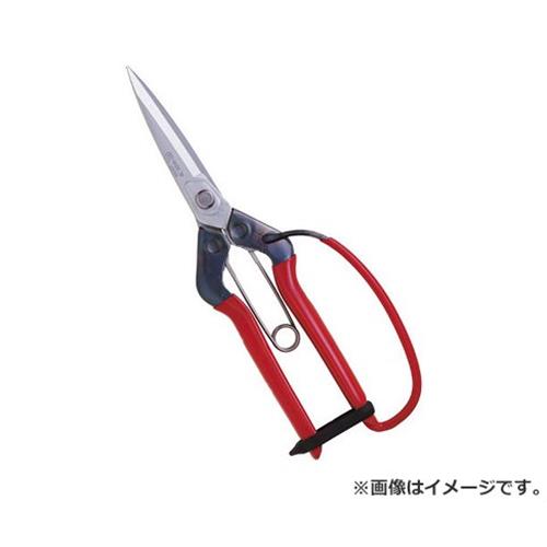 ڥ᡼ء۶(ޥ)  T-710GDX 4967645011807 [ ]