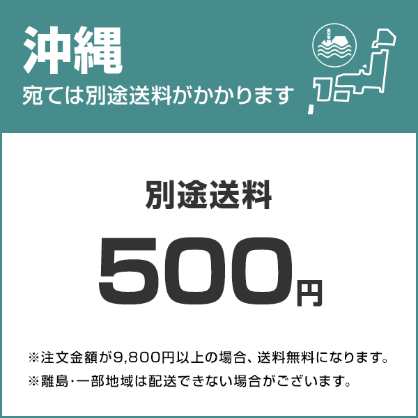 重松 GM77用吸収缶 CA-710S／OV 4959382010861 [ワークサポート 保護具 防毒マスク]