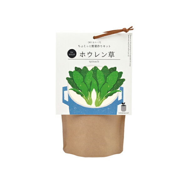 聖新陶芸 GD-79504 育てるスープ ホウレンソウ 2050061 [栽培キット グリーン]