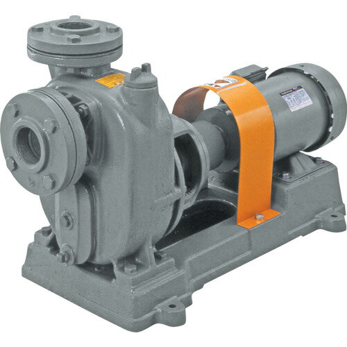 テラダポンプ(寺田ポンプ) セルプラポンプ 鋳鉄製メカニカルシール式 0.4kw 全揚程6.5m 50HzOL3M [r21]..