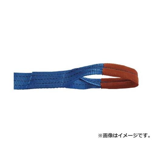 TESAC ラッシングベルト(ベルト荷締機)ラチェットバックル式アイタイプ R30E010050A [r20][s9-020]