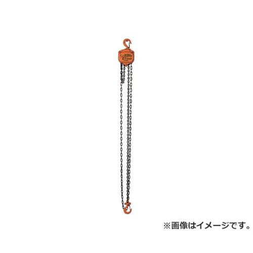 バイタル チェンブロック0.5トン VP505 [VP5-05][r22][s9-039]