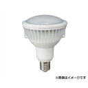 ハタヤ 交換球 LED-42WW [LED ライト 省エネ 長寿命 照明 ランプ HATAYA]