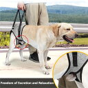 関節痛や怪我のある高齢犬のための、背部と胸部のストラップ付きの犬用サポートハーネス 調節可能で、お手入れも簡単です。