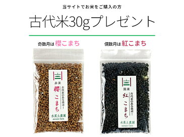 【無洗米】秋田県産 農家直送 あきたこまち 5kg 令和元年産 / 古代米（赤米or黒米）お試し袋付き