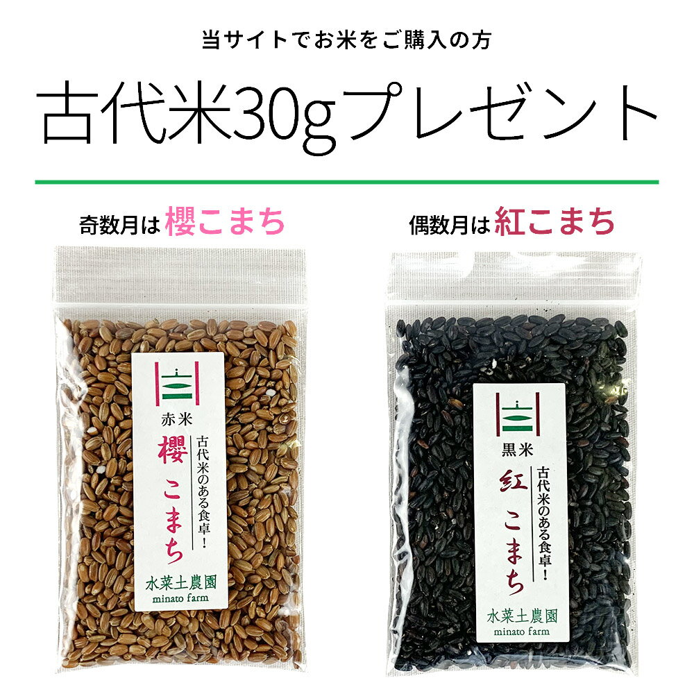 秋田県産 ミルキークイーン 5kg & 新潟県産 こしひかり 5kg 令和3年産【古代米プレゼント付き】