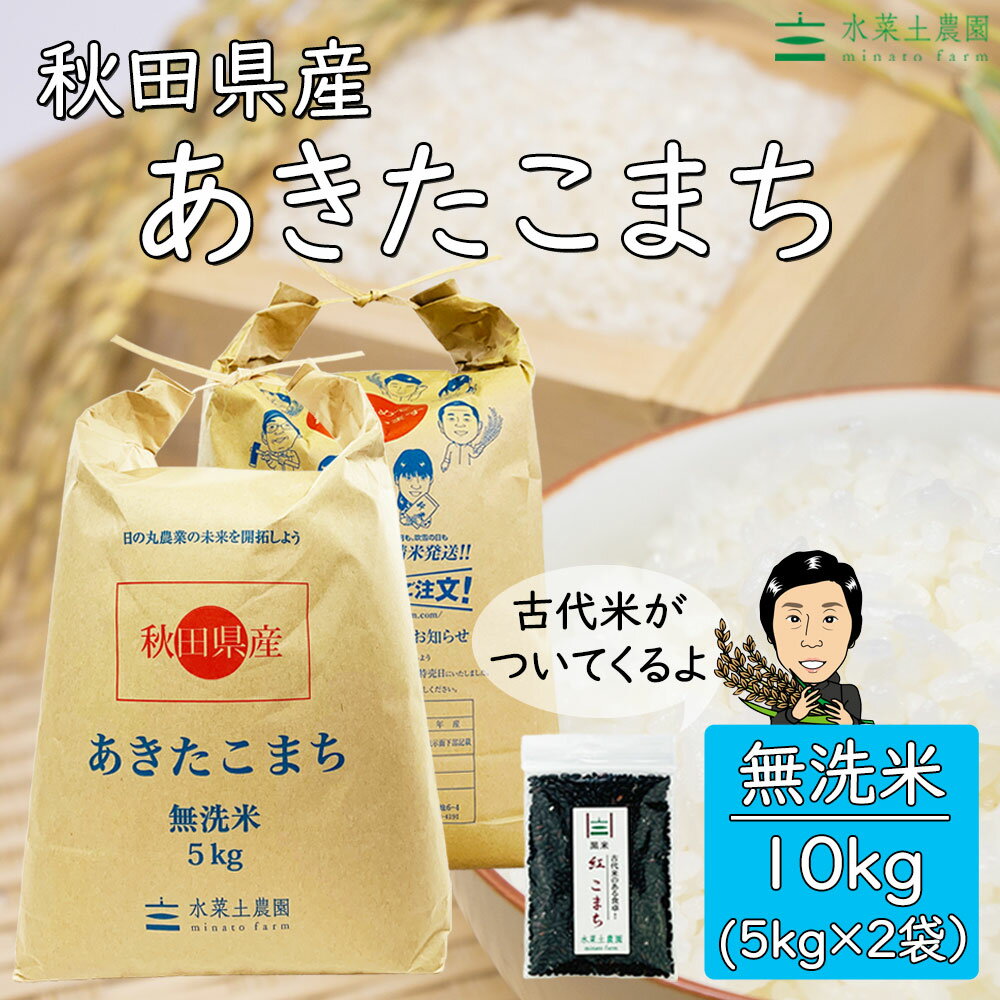 秋田県産 あきたこまち 無洗米10kg（5kg×2袋）令和3年産 【古代米プレゼント付き】