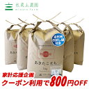 【おまけ付き】【クーポン配布中】秋田県産 農家直送 あきたこ...
