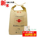 新米【おまけ付き】【クーポン配布中】秋田県産 農家直送 あき...