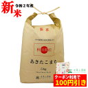 新米【おまけ付き】【クーポン配布中】秋田県産 農家直送 あきたこまち 精米5kg 令和2年産 / 古代米お試し袋付き