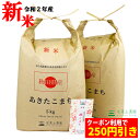 新米【おまけ付き】【クーポン配布中】秋田県産 農家直送 あき...