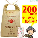 【おまけ付き】【クーポン配布中】秋田県産 農家直送 あきたこまち 玄米 5kg 令和 2年産 / 古代米お試し袋付き