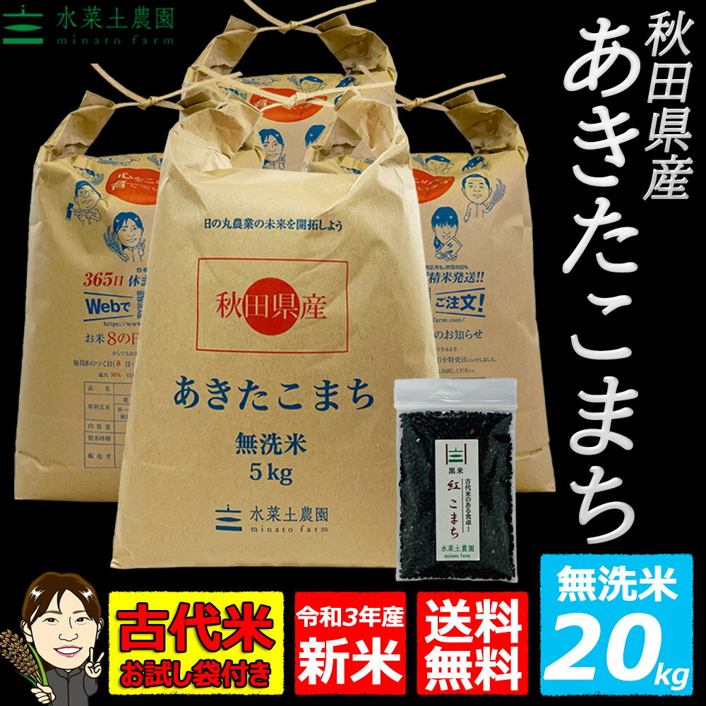 秋田県産 あきたこまち 無洗米20kg（5kg×4袋）令和3年産【古代米プレゼント付...