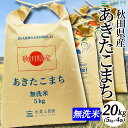 秋田県産 あきたこまち 無洗米20kg（5kg×4袋）令和3年産 【古代米プレゼント付き】